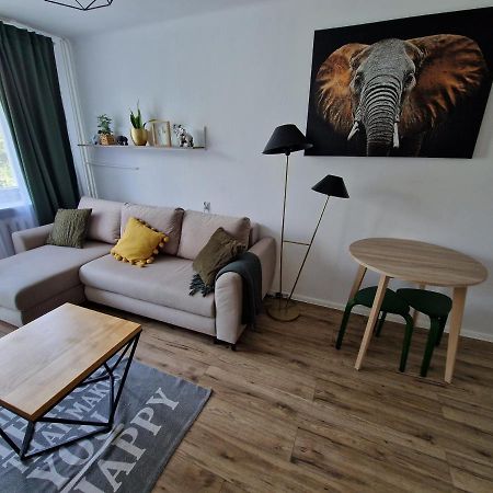 Sienkiewicza Apartament Multi House Rzeszów Exterior foto