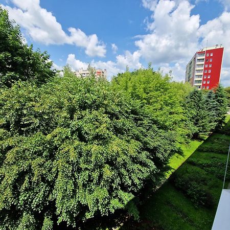 Sienkiewicza Apartament Multi House Rzeszów Exterior foto