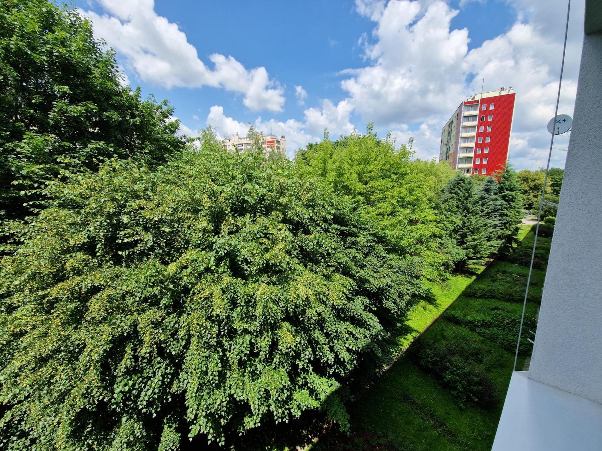 Sienkiewicza Apartament Multi House Rzeszów Exterior foto